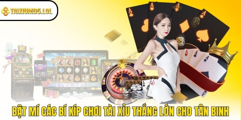 Bật mí các bí kíp chơi Tài Xỉu thắng lớn cho tân binh