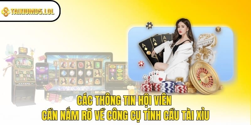 Các thông tin hội viên cần nắm rõ về công cụ tính cầu Tài Xỉu 