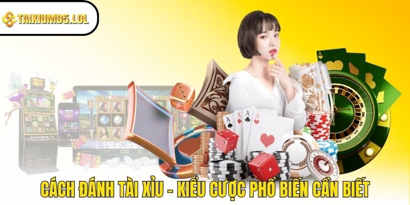 Cách đánh Tài Xỉu - Kiểu cược phổ biến cần biết