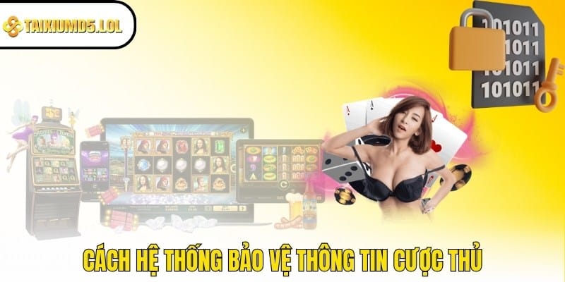 Cách hệ thống bảo vệ thông tin cược thủ