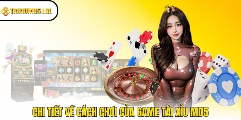 Chi tiết về cách chơi của game Tài Xỉu MD5