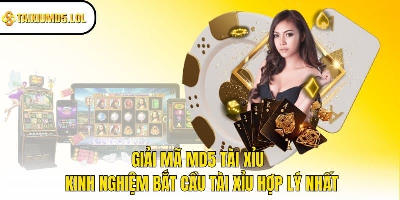 Giải mã MD5 Tài Xỉu - Kinh nghiệm bắt cầu Tài Xỉu hợp lý nhất