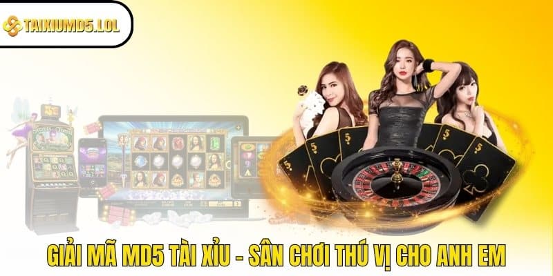 Giải mã MD5 Tài Xỉu - Sân chơi thú vị cho anh em