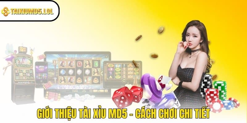 Giới thiệu Tài Xỉu MD5 - Cách chơi chi tiết