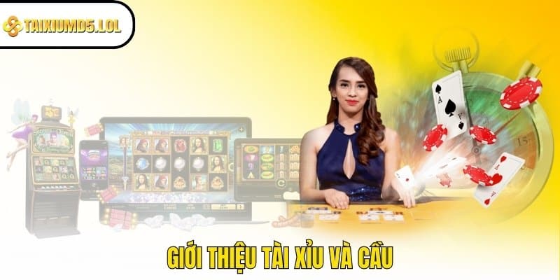 Giới thiệu Tài Xỉu và cầu