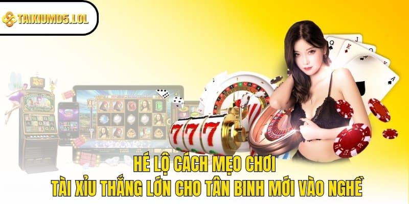 Hé lộ cách mẹo chơi Tài Xỉu thắng lớn cho tân binh mới vào nghề