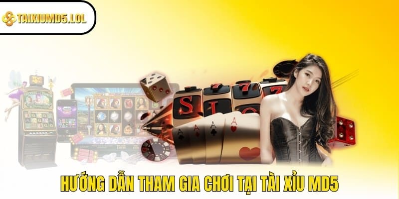 Hướng dẫn tham gia chơi tại Tài Xỉu MD5