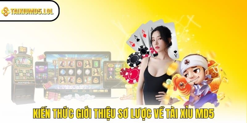 Kiến thức giới thiệu sơ lược về Tài Xỉu MD5