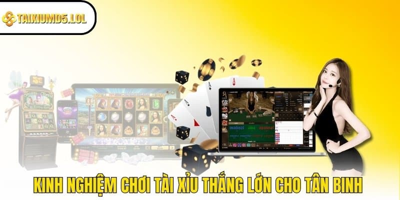 Kinh nghiệm chơi Tài Xỉu thắng lớn cho tân binh 