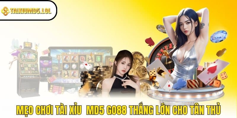 Mẹo chơi Tài Xỉu MD5 GO88 thắng lớn cho tân thủ