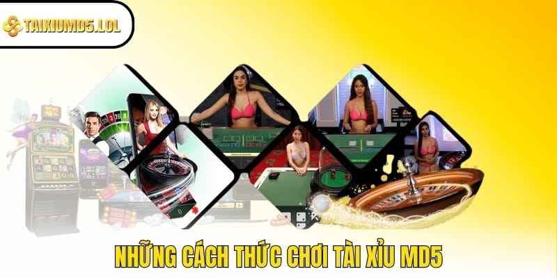 Những cách thức chơi Tài Xỉu MD5