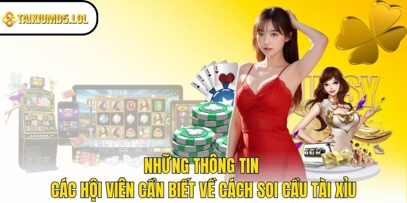 Những thông tin các hội viên cần biết về cách soi cầu Tài Xỉu