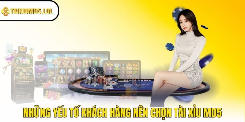 Những yếu tố khách hàng nên chọn Tài Xỉu MD5