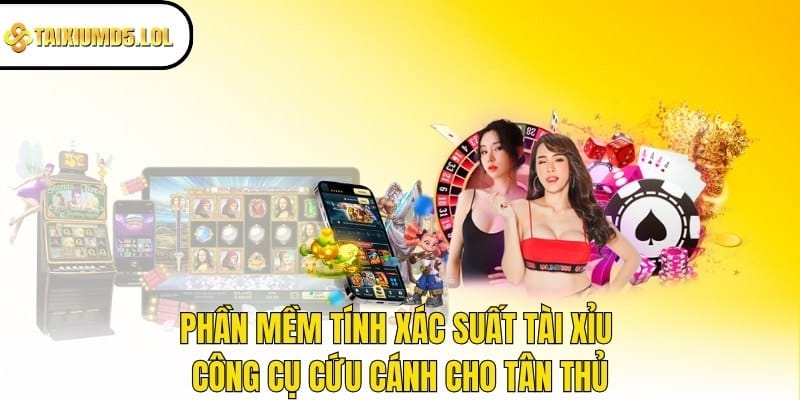 Phần mềm tính xác suất tài xỉu - Công cụ cứu cánh cho tân thủ