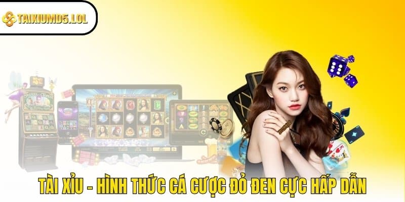 Tài Xỉu - Hình thức cá cược đỏ đen cực hấp dẫn