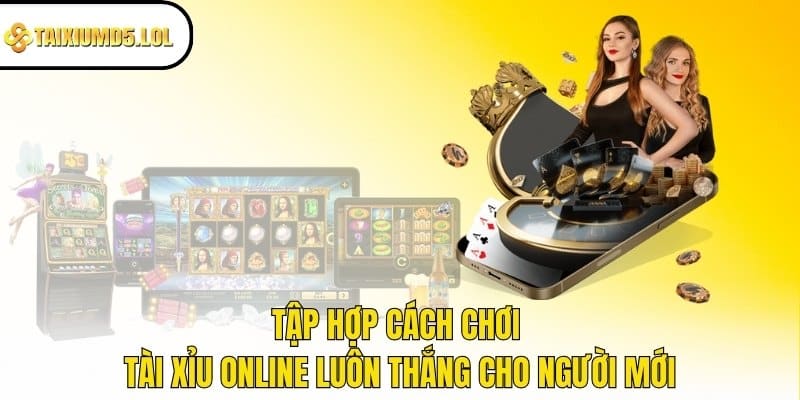 cách chơi Tài Xỉu online luôn thắng