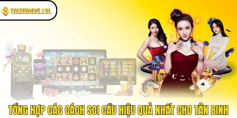 Tổng hợp các cách soi cầu hiệu quả nhất cho tân binh