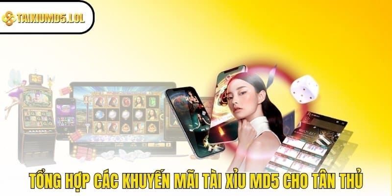 Tổng hợp các khuyến mãi Tài Xỉu MD5 cho tân thủ