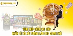 cách soi cầu chẵn lẻ Tài Xỉu