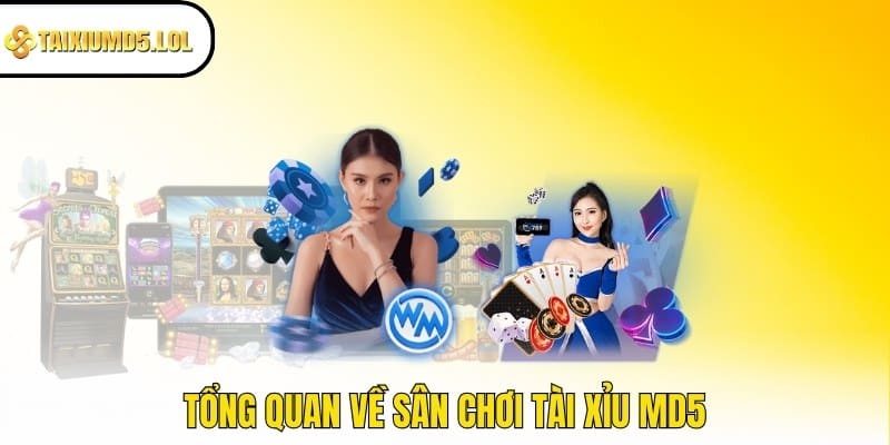 Tổng quan về sân chơi Tài Xỉu MD5