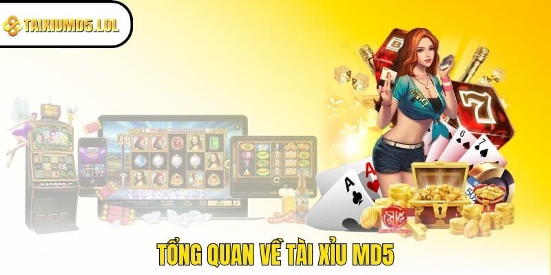 Tổng quan về Tài Xỉu MD5