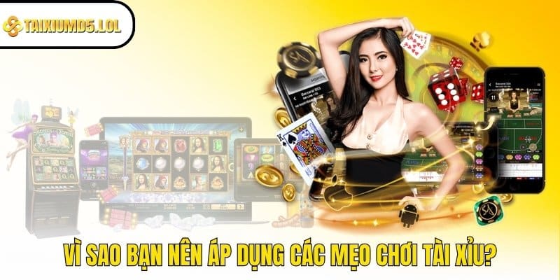 Vì sao bạn nên áp dụng các mẹo chơi Tài Xỉu?