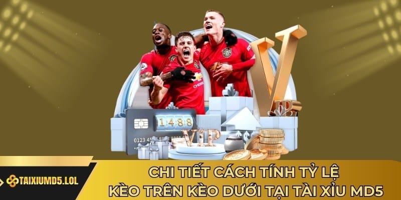 Chi tiết cách tính tỷ lệ kèo trên kèo dưới tại Tài Xỉu MD5