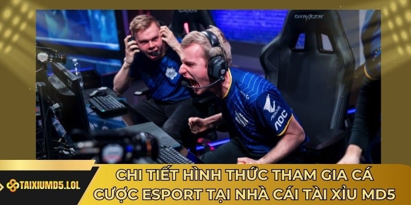 Chi tiết hình thức tham gia cá cược Esport tại nhà cái Tài Xỉu MD5