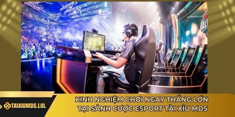 Kinh nghiệm chơi ngay thắng lớn tại sảnh cược ESport Tài Xỉu MD5