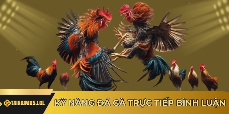 Kỹ năng đá gà trực tiếp bình luận