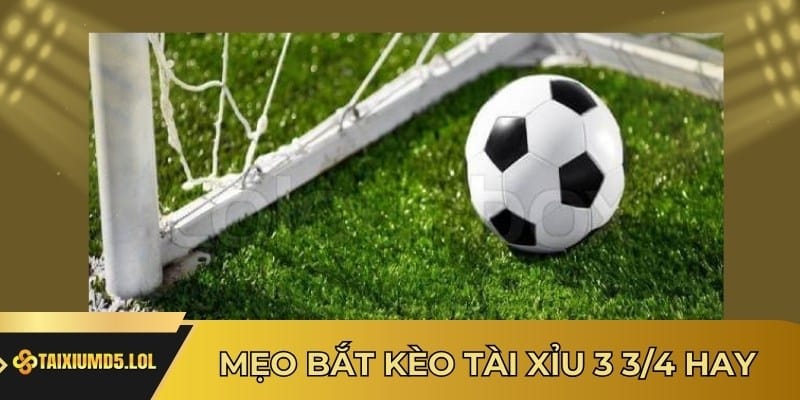 Mẹo bắt kèo Tài Xỉu 3 3/4 hay