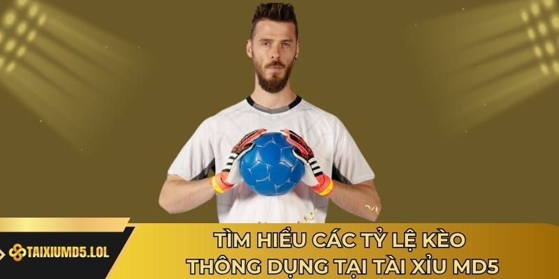 Tìm hiểu các tỷ lệ kèo thông dụng tại Tài Xỉu MD5