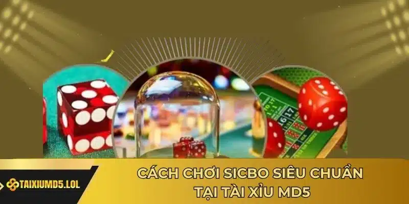 Cách chơi Sicbo siêu chuẩn tại Tài Xỉu MD5