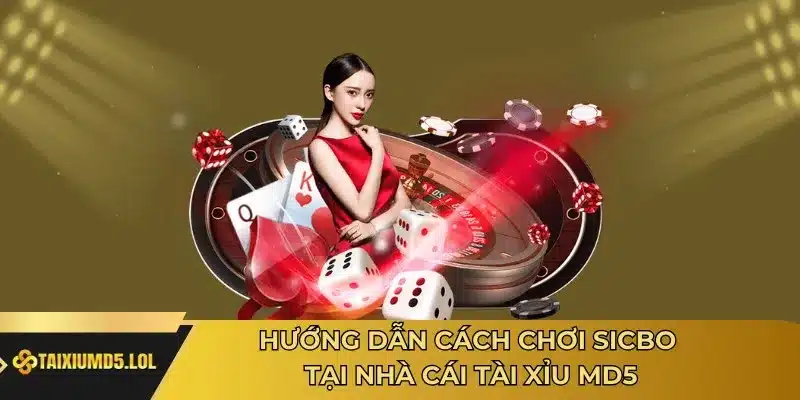 Hướng dẫn cách chơi Sicbo tại nhà cái Tài Xỉu MD5