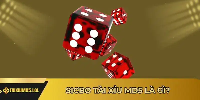 Sicbo Tài Xỉu MD5 là gì?